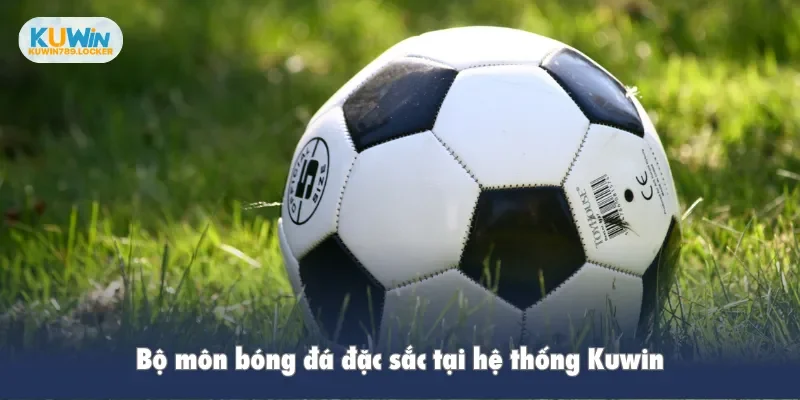 Bộ môn bóng đá đặc sắc tại hệ thống Kuwin