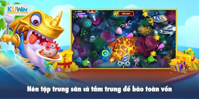 Nên tập trung săn cá tầm trung để bảo toàn vốn