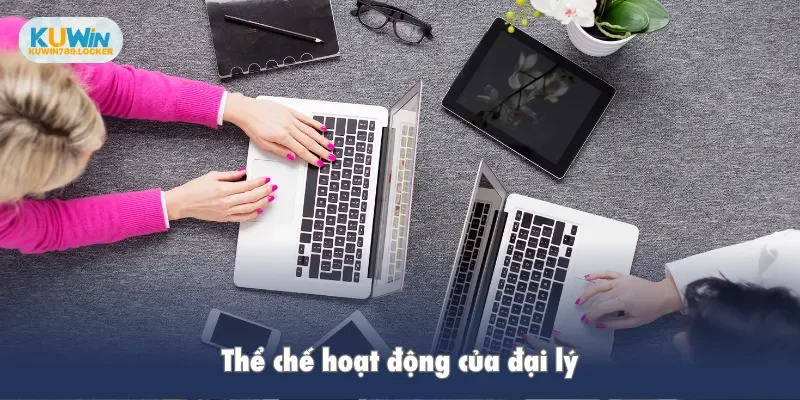 Thể chế hoạt động của đại lý